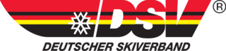 Logo des DSV