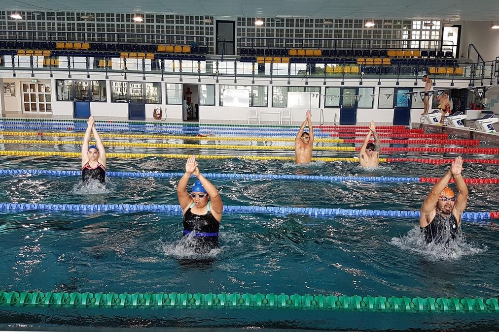 enlarge the image: Eine Schwimmgruppe übt das senkrechte Auf- und Abtauchen im tiefen Wasser der Schwimmhalle.