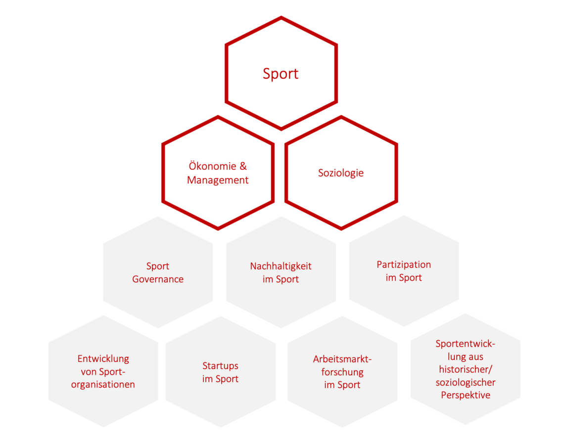 zur Vergrößerungsansicht des Bildes: Das Bild zeigt das Forschungsprofil der Professur Sportökonomie und Sportmanagement mit den Arbeitsbereichen Sportökonomie und -management, sowie Sportsoziologie und-geschichte.