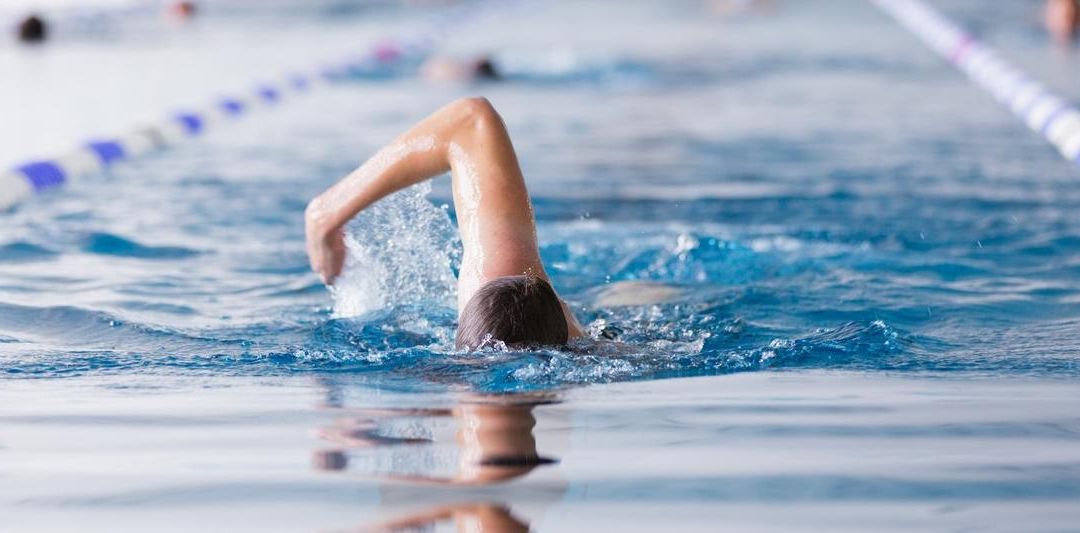 Frontaler Blick auf eine Schwimmbahn in der ein Student gerade krault, Foto: Christian Hüller