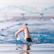 Frontaler Blick auf eine Schwimmbahn in der ein Student gerade krault, Foto: Christian Hüller