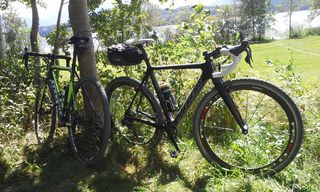 Zwei sportliche Fahrräder stehen angelehnt an einen Baum. Im Hintergrund erkennt man einen See und sein grünes Ufer.