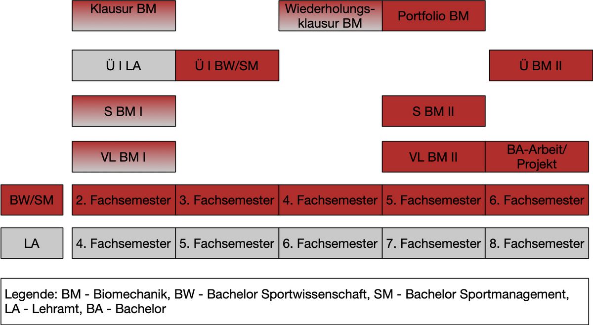 zur Vergrößerungsansicht des Bildes: Übersicht über die Sportbiomechanik in den BA-Modulen