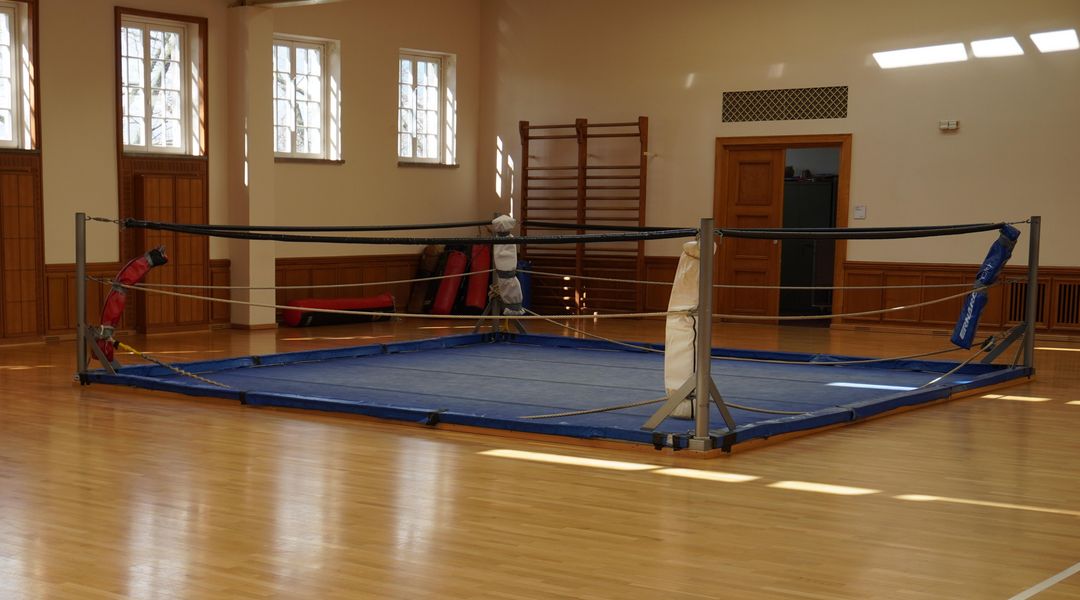 Die Boxhalle der Sportwissenschaftlichen Fakultät. Foto: Damian Jeraj