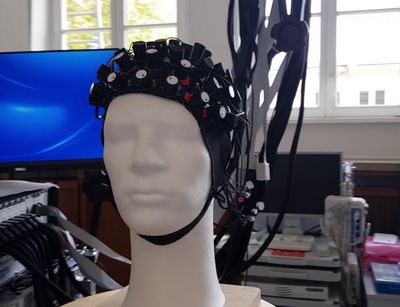 E-Sportler unter der Haube - Masterarbeit
