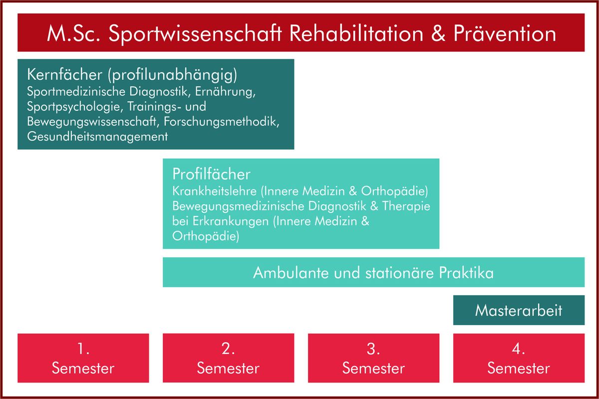 zur Vergrößerungsansicht des Bildes: Schema Studienablauf Masterstudiengang R&P