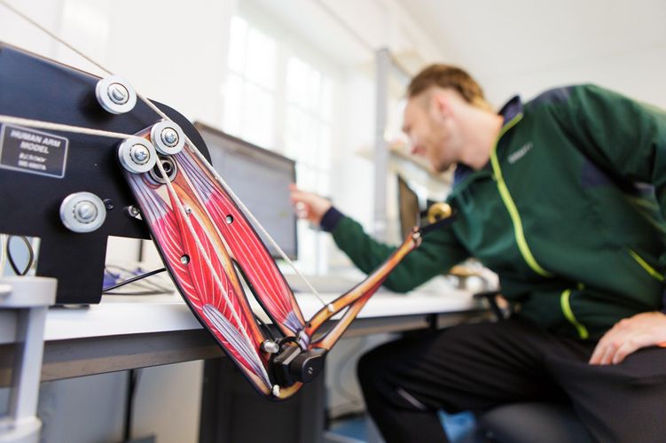 Ein nachgebauter Oberarm ist im Vordergrund und im Hintergrund sieht man Studierende, die auf einen Bildschirm blicken, Foto: Christian Hüller